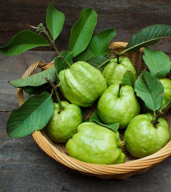 Guavas