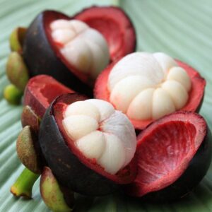 Mangosteen