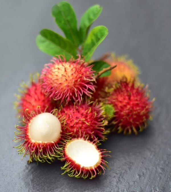 Rambutan