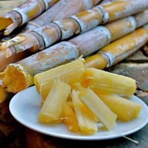 Sugarcane