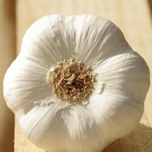 garlic, garlic white, cultivated garlic, bulb of garlic, food, culture, agriculture, flavors, rhone alpes, drome, france, garlic, garlic, garlic, garlic, garlic