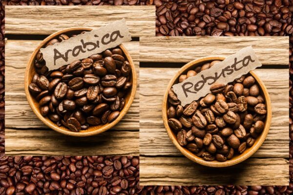 Coffee Beans (Arabica and Robusta)