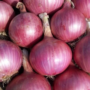 onion, vegetables, power, nature, red onion, onion, onion, onion, onion, onion, red onion