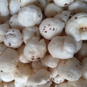fox nuts, makhana, food, seeds, delicious, tasty, closeup, fox nuts, makhana, makhana, makhana, makhana, makhana