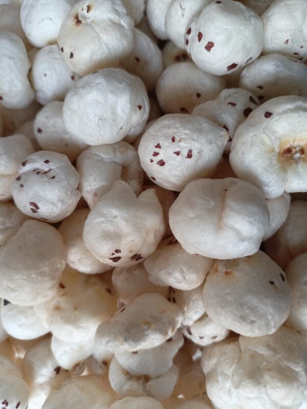 fox nuts, makhana, food, seeds, delicious, tasty, closeup, fox nuts, makhana, makhana, makhana, makhana, makhana